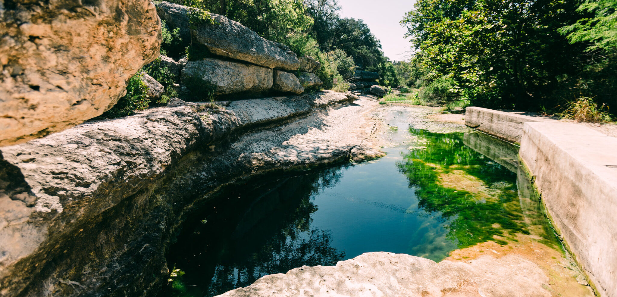 Oak Wilt Pros - Wimberley - Oak Wilt Treatment & Prevention