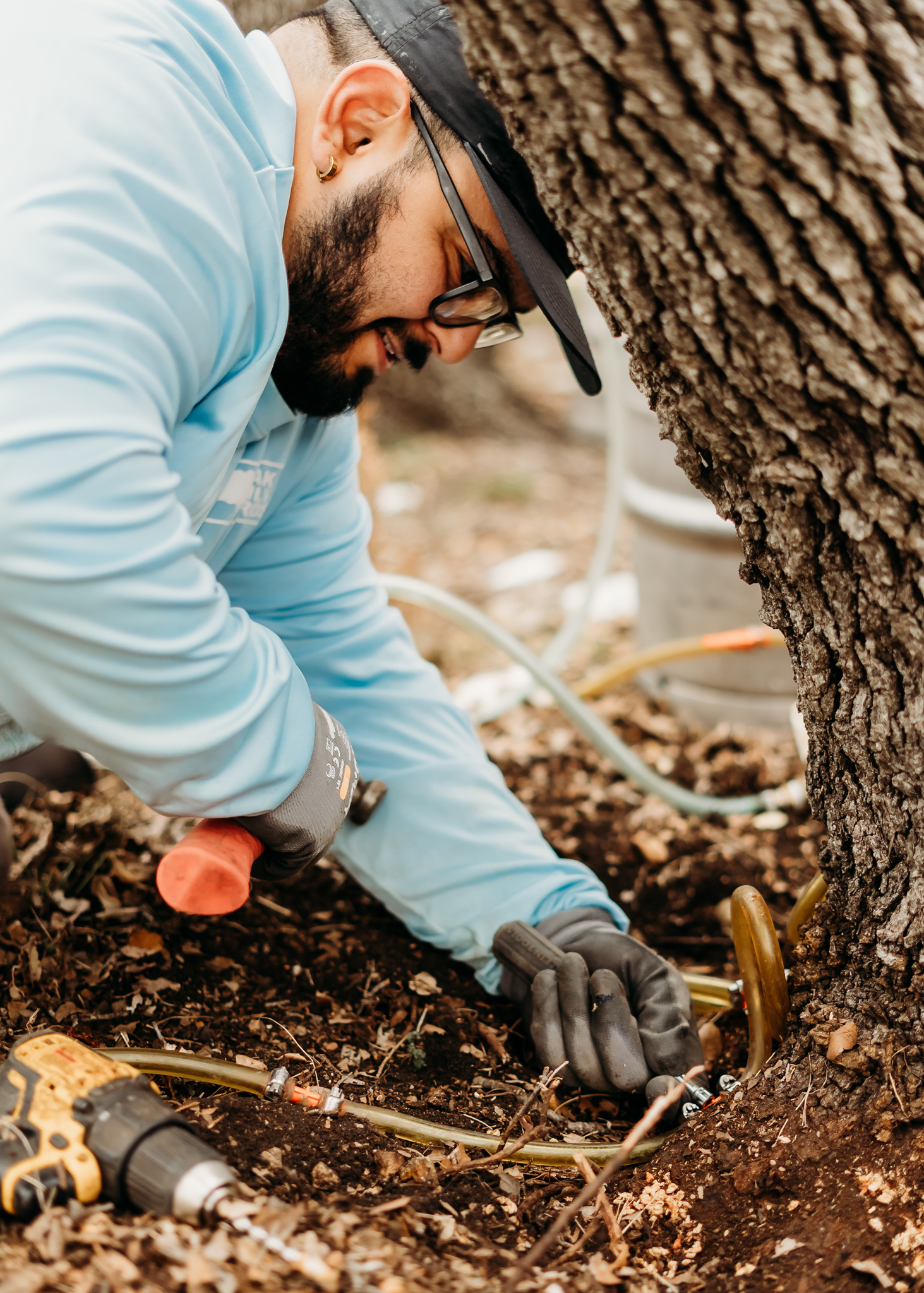 Oak Wilt Macro-Injections - Oak Wilt Pros - Austin, Dripping Springs, Wimberley, TX